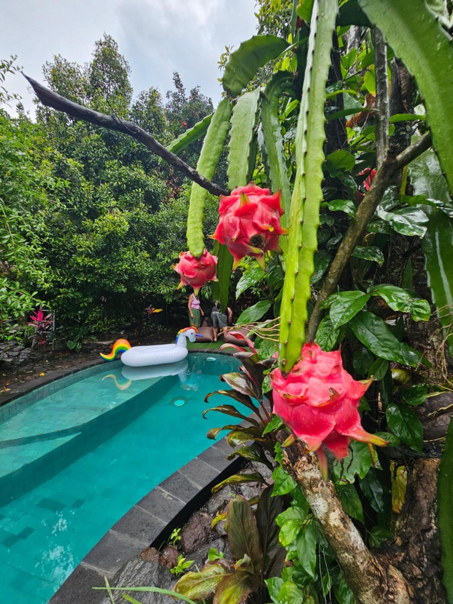 Les Garden Villa Теджакула Экстерьер фото